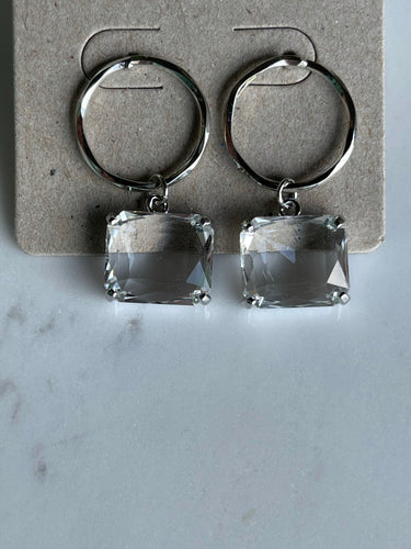 Small Hoop with Crystal earrings